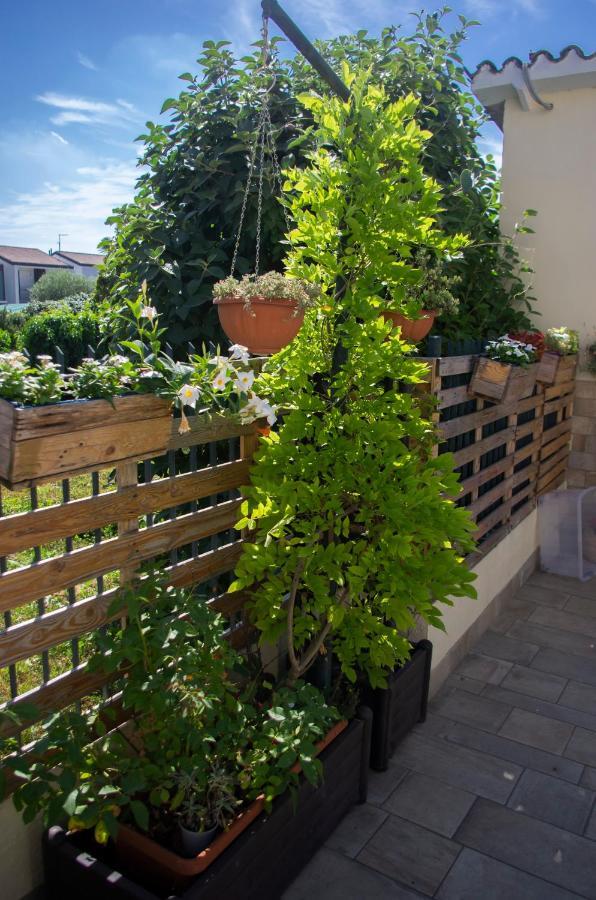 B&B Dai Carari Spinea Exterior foto